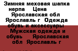 Зимняя меховая шапка (нерпа) › Цена ­ 5 000 - Ярославская обл., Ярославль г. Одежда, обувь и аксессуары » Мужская одежда и обувь   . Ярославская обл.,Ярославль г.